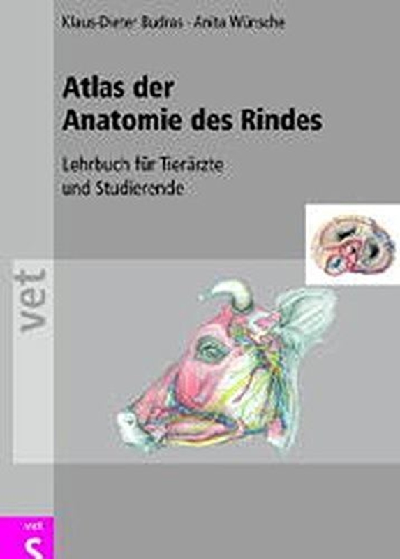 resm Atlas der Anatomie des Rindes