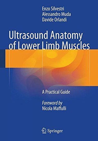 Resim Ultrasound Anatomy Of Lower Limb Muscles