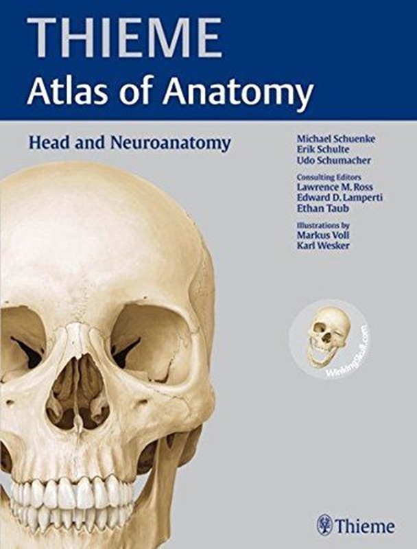 resm Atlas Of Anatomy: Head And Neuroanatomy