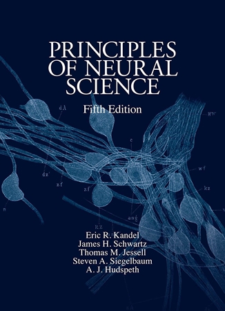 Resim Principles Of Neural Science 5e