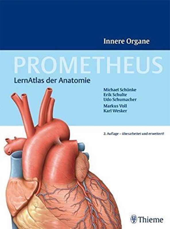 resm Prometheus Innere Organe: LernAtlas Der Anatomie
