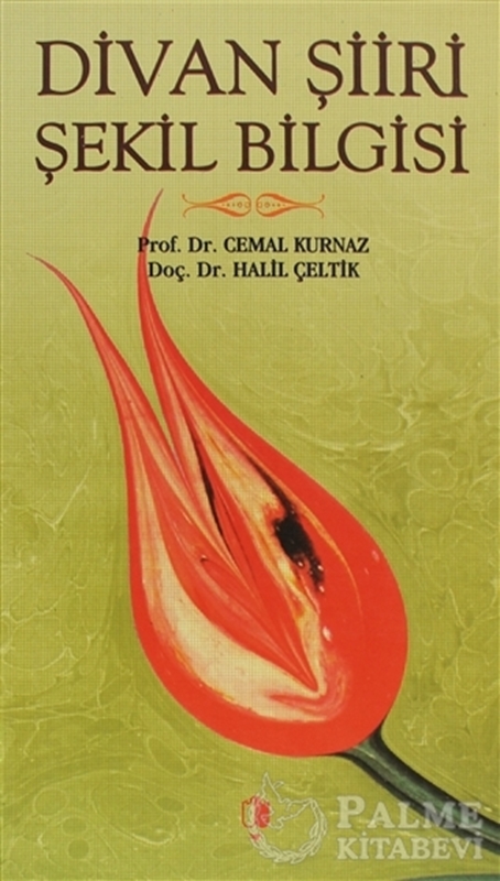 resm Divan Şiiri Şekil Bilgisi