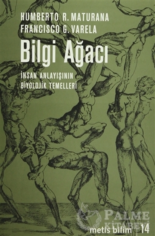 resm Bilgi Ağacı