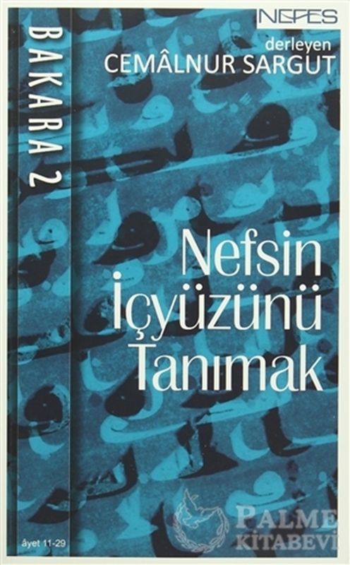 resm Nefsin İçyüzünü Tanımak