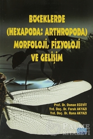 Resim Böceklerde (Hexapoda: Arthropoda) Morfoloji, Fizyoloji ve Gelişim