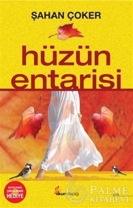 resm Hüzün Entarisi