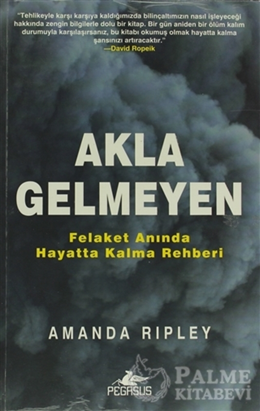 resm Akla Gelmeyen