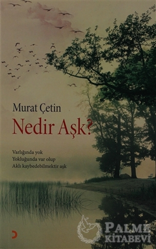 resm Nedir Aşk?