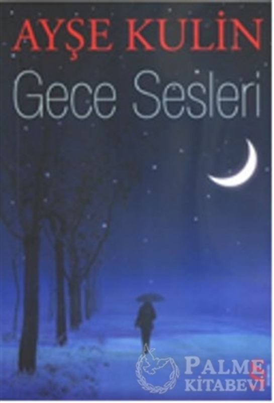 resm Gece Sesleri