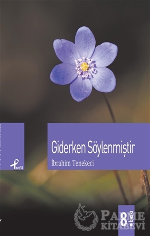 resm Giderken Söylenmiştir