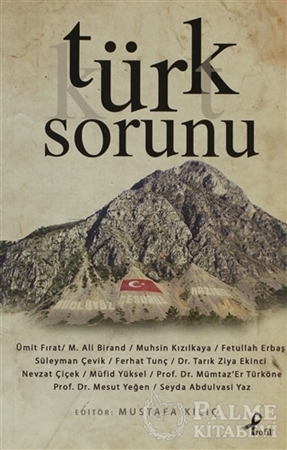 Resim Türk Sorunu
