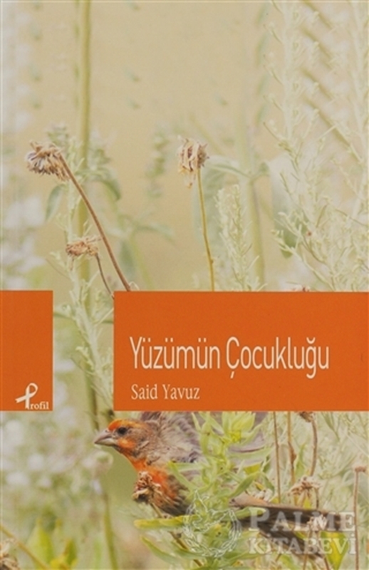resm Yüzümün Çocukluğu