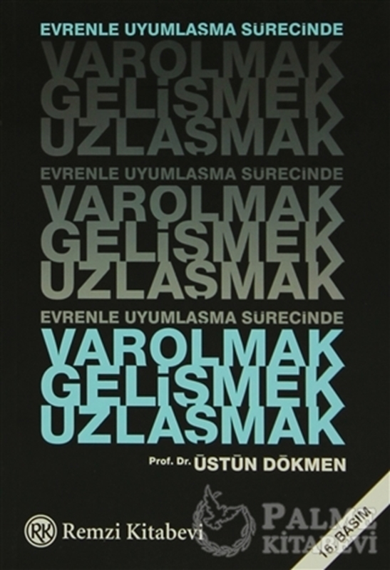 resm Evrenle Uyumlaşma Sürecinde Varolmak, Gelişmek, Uzlaşmak