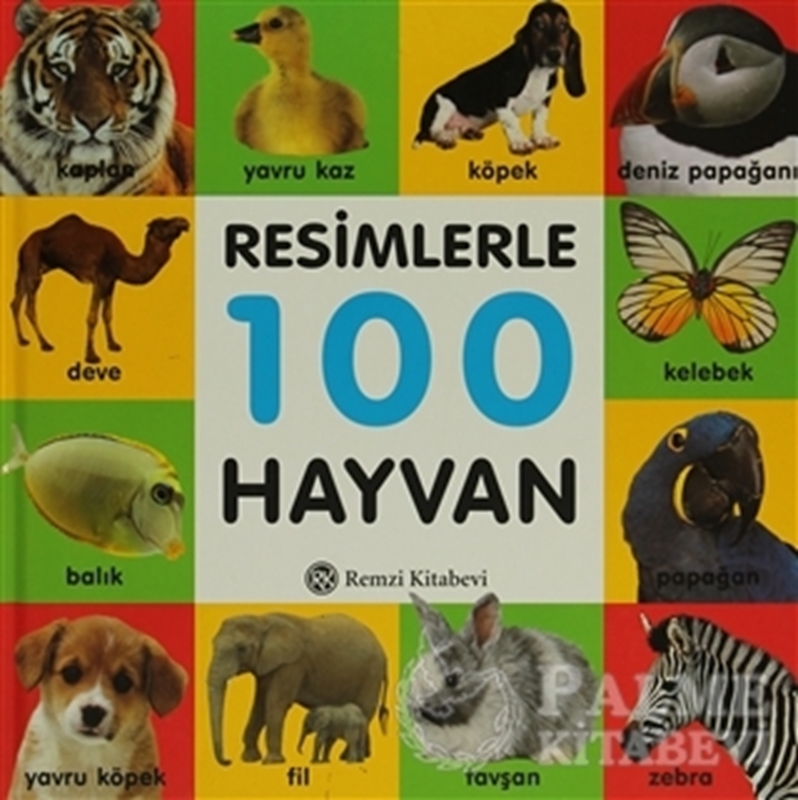 resm Resimlerle 100 Hayvan