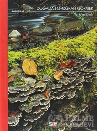 Resim Doğada Fotoğrafı Görmek