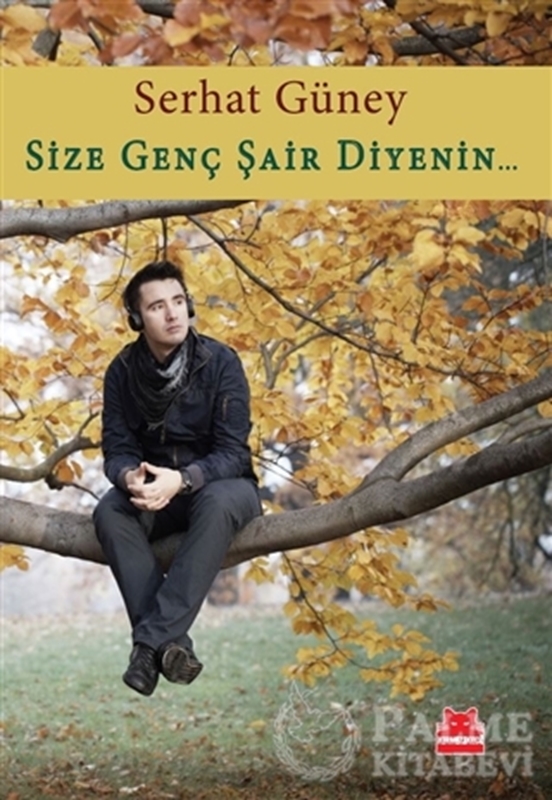 resm Size Genç Şair Diyenin...