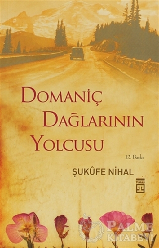 resm Domaniç Dağlarının Yolcusu