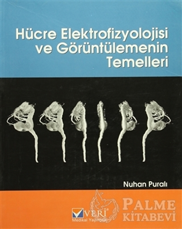 resm Hücre Elektrofizyolojisi ve Görüntülemenin Temelleri