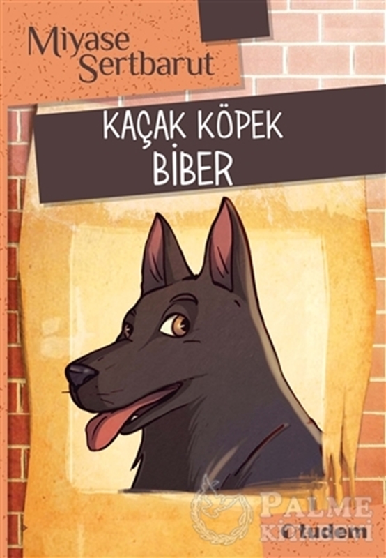 resm Kaçak Köpek Biber