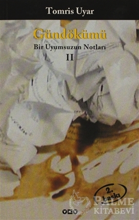 Resim Gündökümü - Bir Uyumsuzun Notları 2