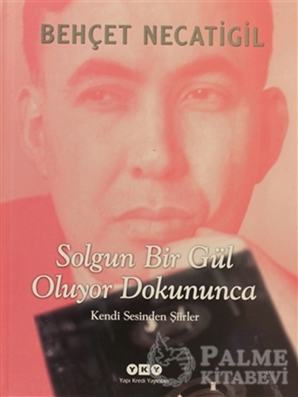 resm Solgun Bir Gül Oluyor Dokununca