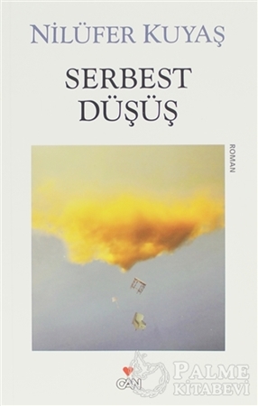 Resim Serbest Düşüş