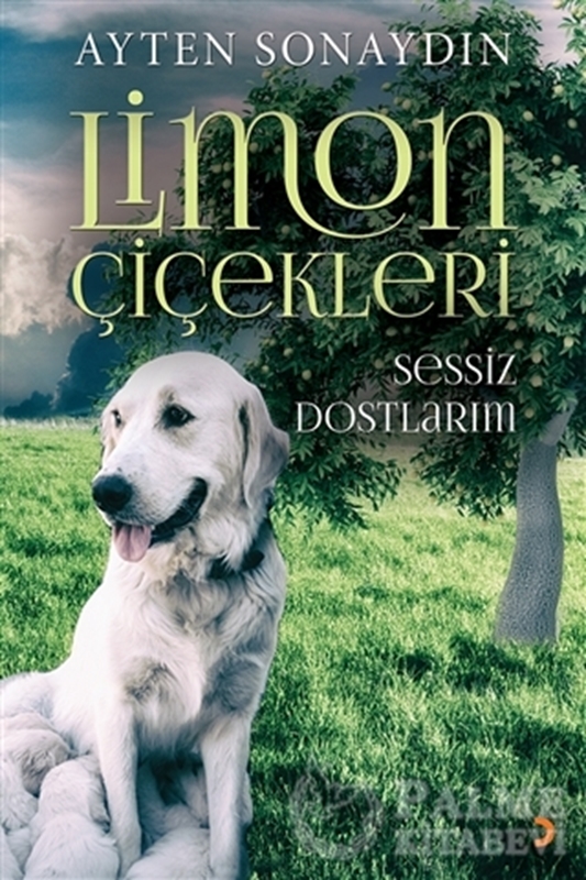 resm Limon Çiçekleri