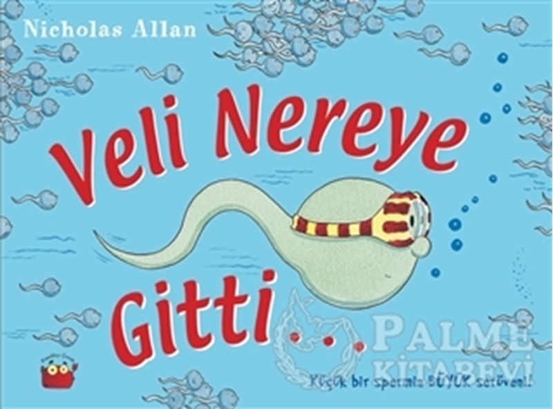 resm Veli Nereye Gitti