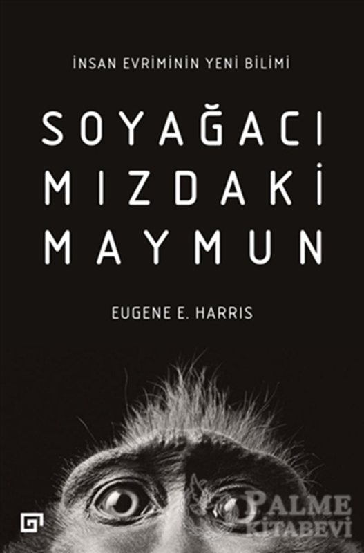 resm Soyağacımızdaki Maymun