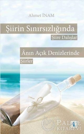 Resim Şiirin Sınırsızlığında