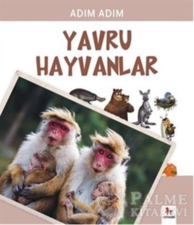 Resim Yavru Hayvanlar