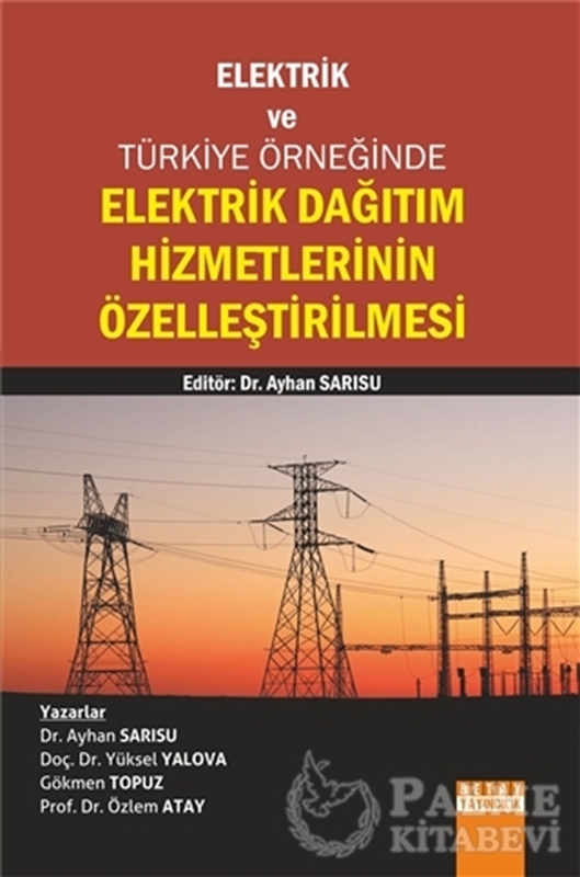 resm Elektrik Dağıtım Hizmetlerinin Özelleştirilmesi