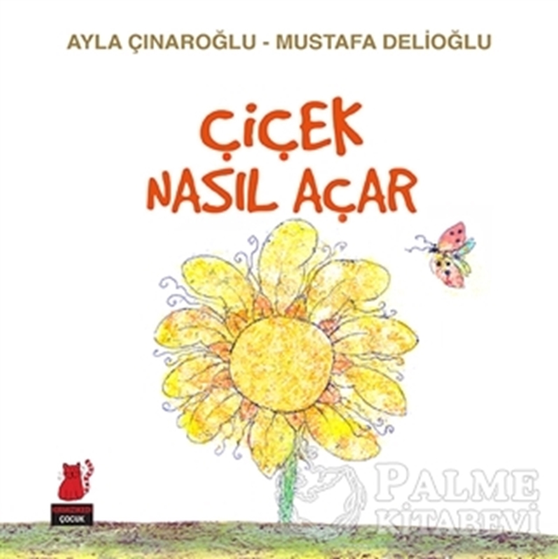 resm Çiçek Nasıl Açar