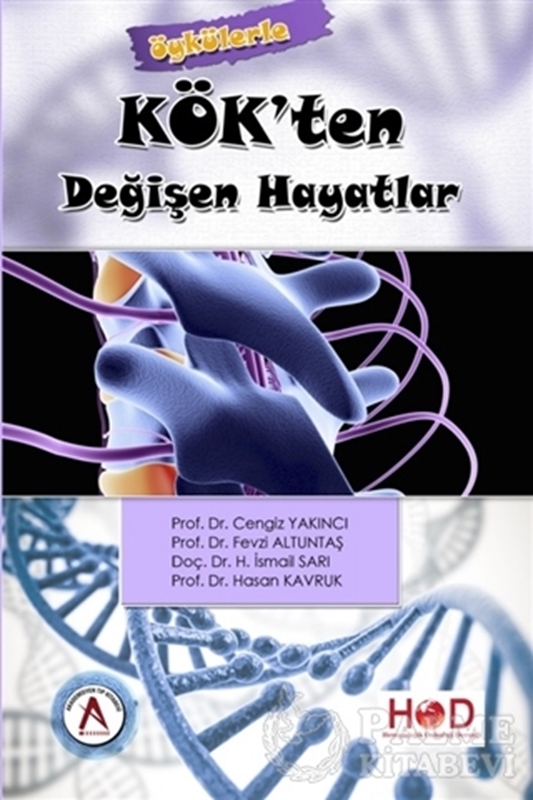 resm Kök'ten Değişen Hayatlar