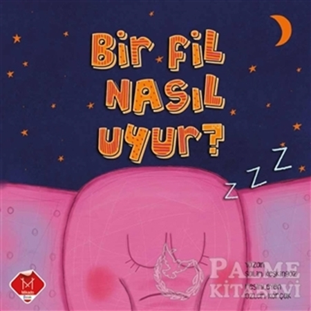 Resim Bir Fil Nasıl Uyur?