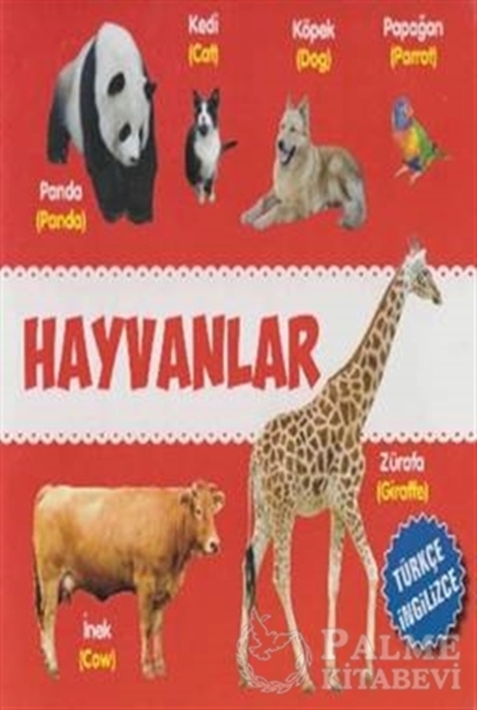resm Hayvanlar Türkçe-İngilizce