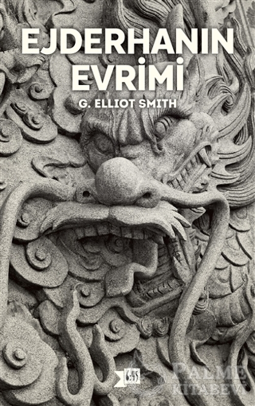 resm Ejderhanın Evrimi