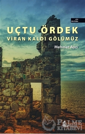 Resim Uçtu Ördek Viran Kaldı Gölümüz
