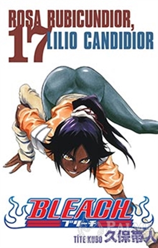 resm Bleach 17. Cilt