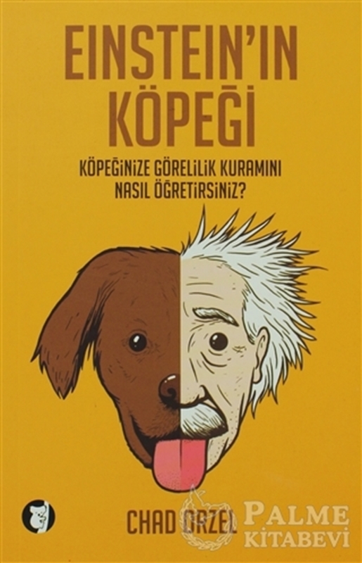 resm Einstein’ın Köpeği
