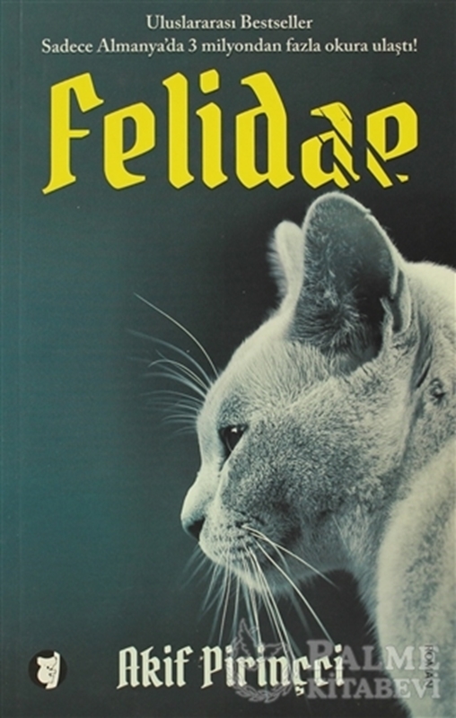 resm Felidae