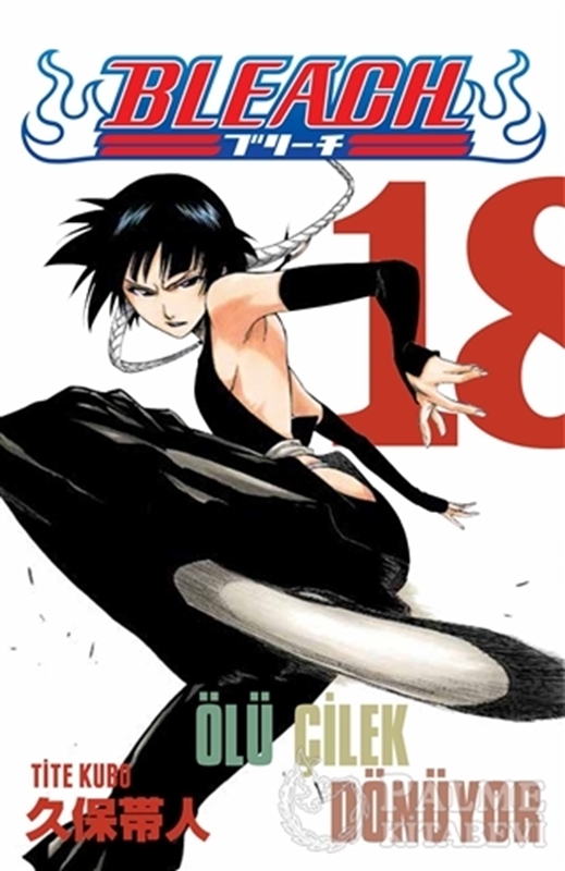 resm Bleach 18. Cilt