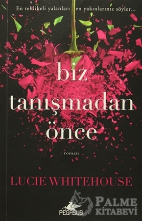 Resim Biz Tanışmadan Önce