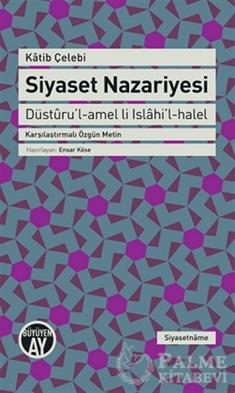 resm Siyaset Nazariyesi