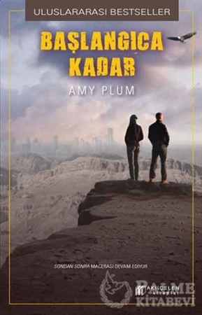 Resim Başlangıca Kadar