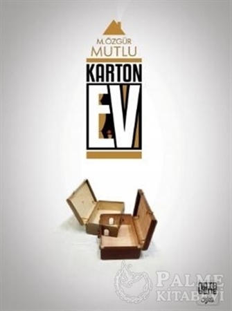 Resim Karton Ev
