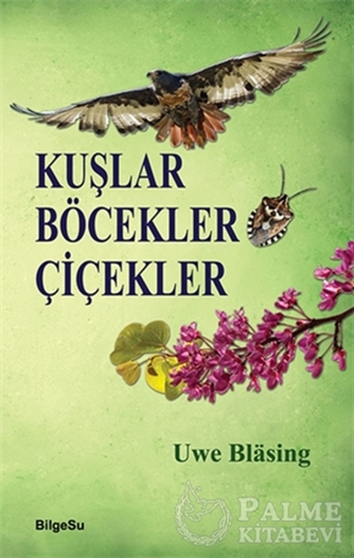 resm Kuşlar Böcekler Çiçekler