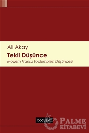 Resim Tekil Düşünce