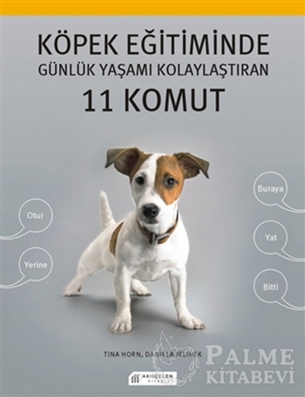 resm Köpek Eğitiminde Günlük Yaşamı Kolaylaştıran 11 Komut
