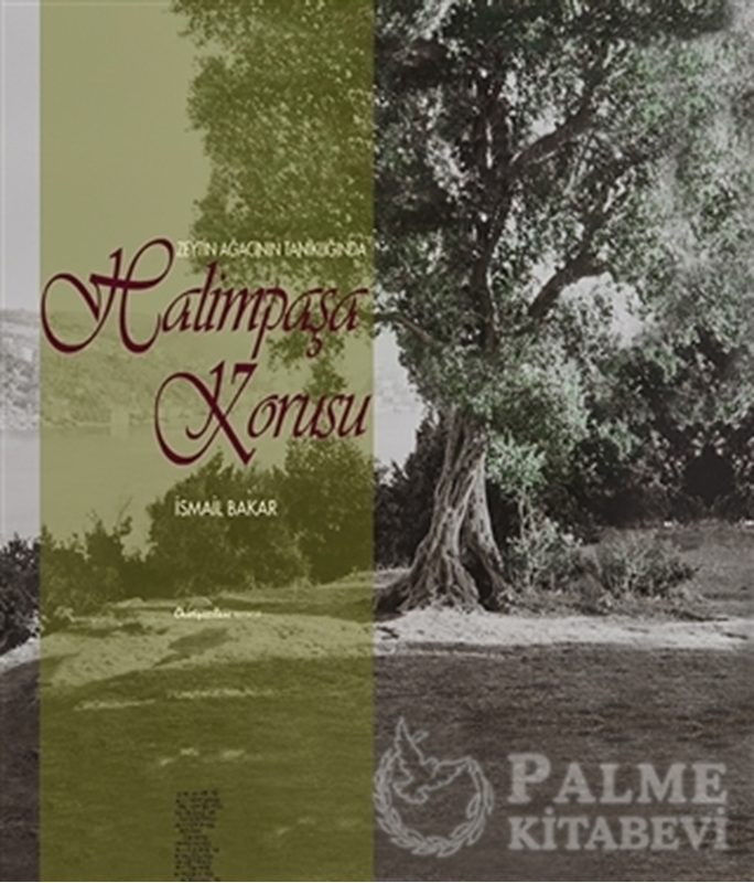 resm Zeytin Ağacının Tanıklığında Halimpaşa Korusu